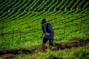 BIB: 
                            <button type="button" onclick="openModal(19160672)" class="btn btn-primary btn-sm float-right btn-popup" data-toggle="modal" data-target=".modal-high-quality">
                        <i class="fas fa-shopping-cart"></i> Add to Cart
                    </button>
                                            <button type="button" onclick="isThisMe(19160672, true)" class="btn btn-success btn-sm float-right btn-popup btn-isme hidden" data-toggle="tooltip" data-placement="bottom" title="นี่คือรูปของคุณใช่ไหม คลิกที่นี่เพื่อเอาเข้าอัลบั้ม">
                        <i class="fas fa-plus"></i> Add to album
                    </button>
                    <button type="button" onclick="isThisMe(19160672, false)" class="btn btn-warning btn-sm float-right btn-popup btn-isnotme hidden">
                        <i class="fas fa-ban"></i> Remove from album
                    </button>